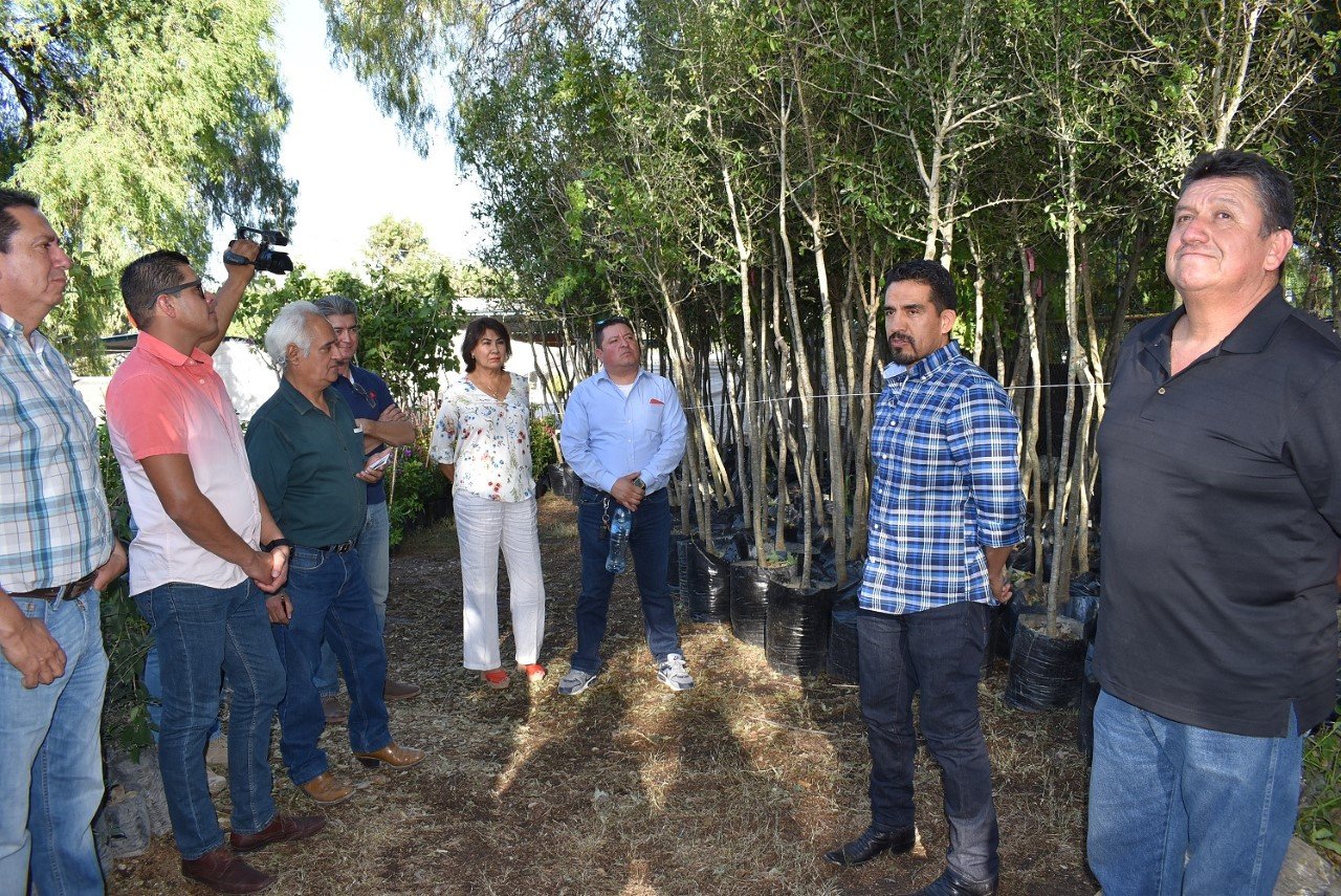 EMPRENDE MUNICIPIO CAMPAÑA DE REFORESTACIÒN