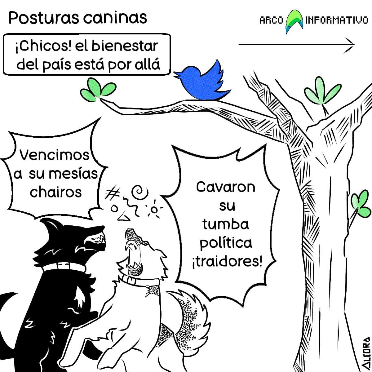 Posturas caninas