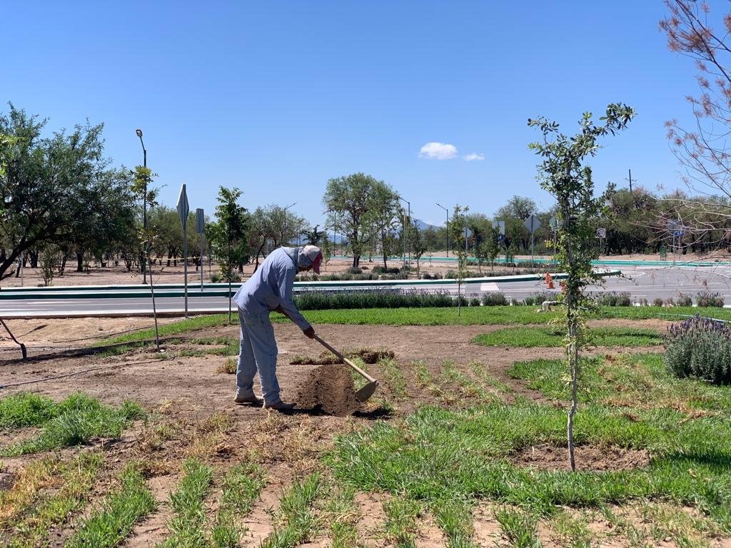 GOBIERNO DEL ESTADO AMPLÍA MEJORAS EN PARQUE “LAS CAMELIAS”