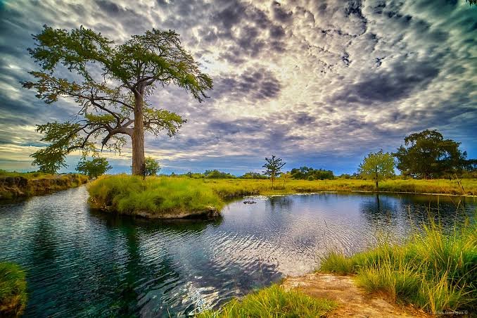 SAN LUIS POTOSÍ SERÁ SEDE DEL DÍA MUNDIAL DE LOS HUMEDALES
