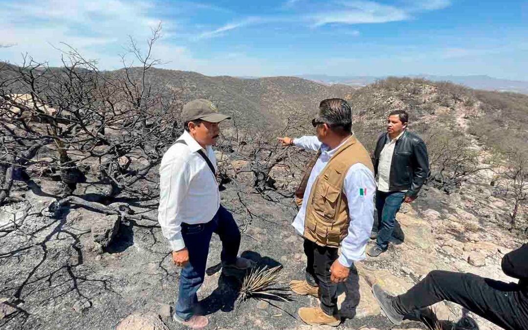 CONTROLADO INCENDIO EN SIERRA DE SAN MIGUELITO