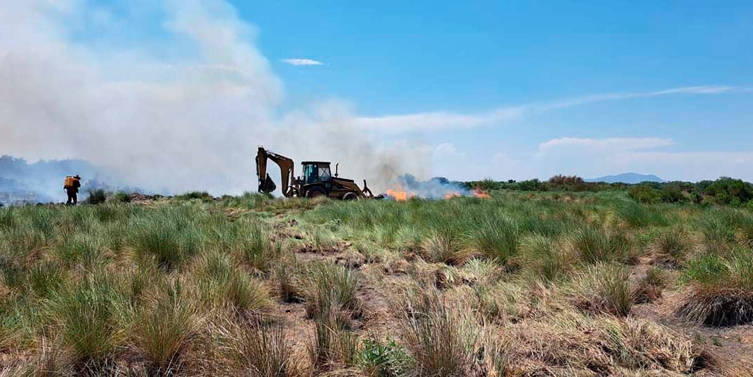 GOBIERNO ESTATAL MANTIENE COMBATE A INCENDIOS FORESTALES