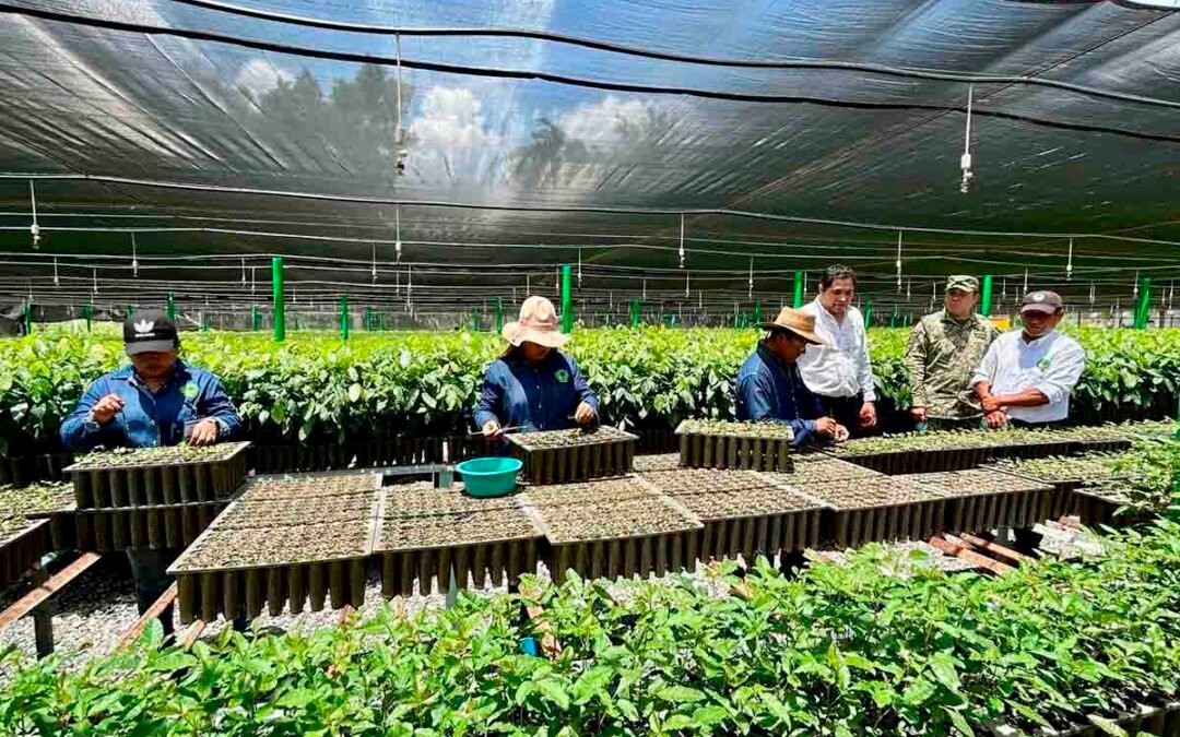 SEGAM IMPULSA PRODUCCIÓN AGRÍCOLA EN VIVEROS DE SEDENA