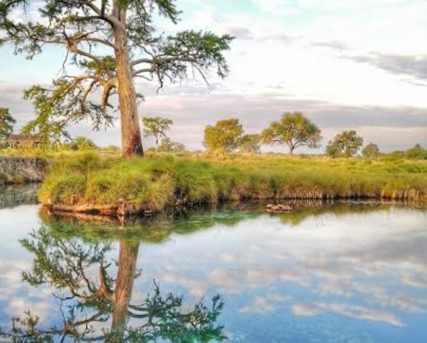 DEFINEN COMO ÁREA DE CONSERVACIÓN AL MANANTIAL LOS PEROLES EN LA REGIÓN MEDIA