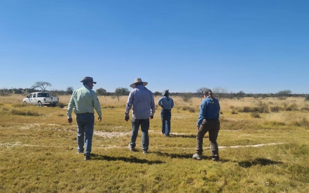 GOBIERNO ESTATAL FOMENTA EL CUIDADO DEL MEDIO AMBIENTE