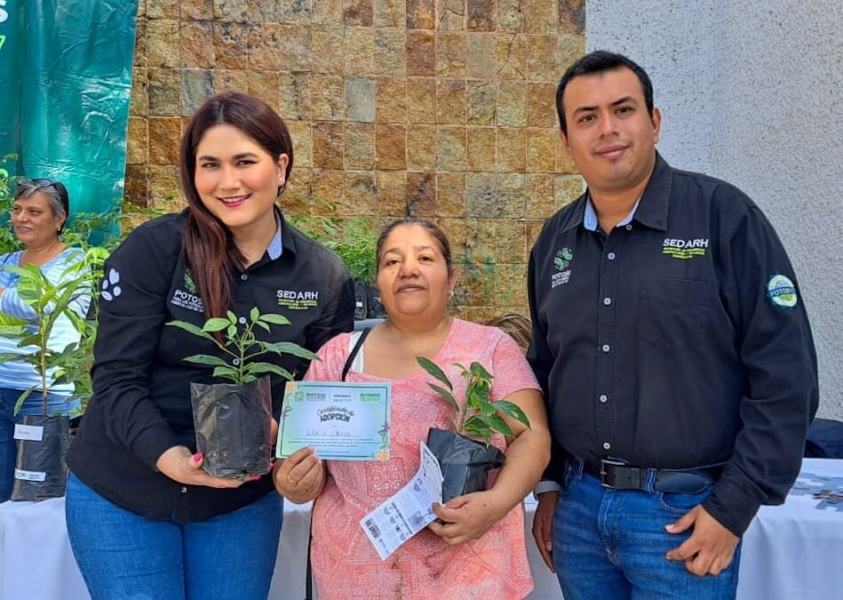 AVANZA EJECUTIVO ESTATAL ACCIONES DE REFORESTACIÓN A FAVOR DEL MEDIO AMBIENTE