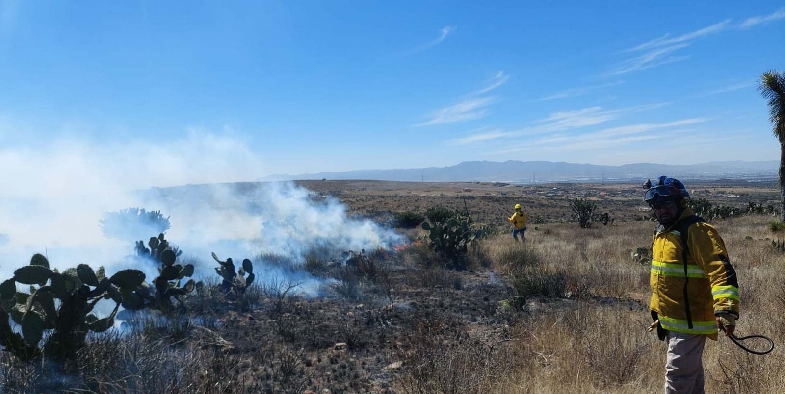 270225 12375, EL ESTADO EN VIGILANCIA PERMANENTE POR TEMPORADA DE INCENDIOS FORESTALES (3)