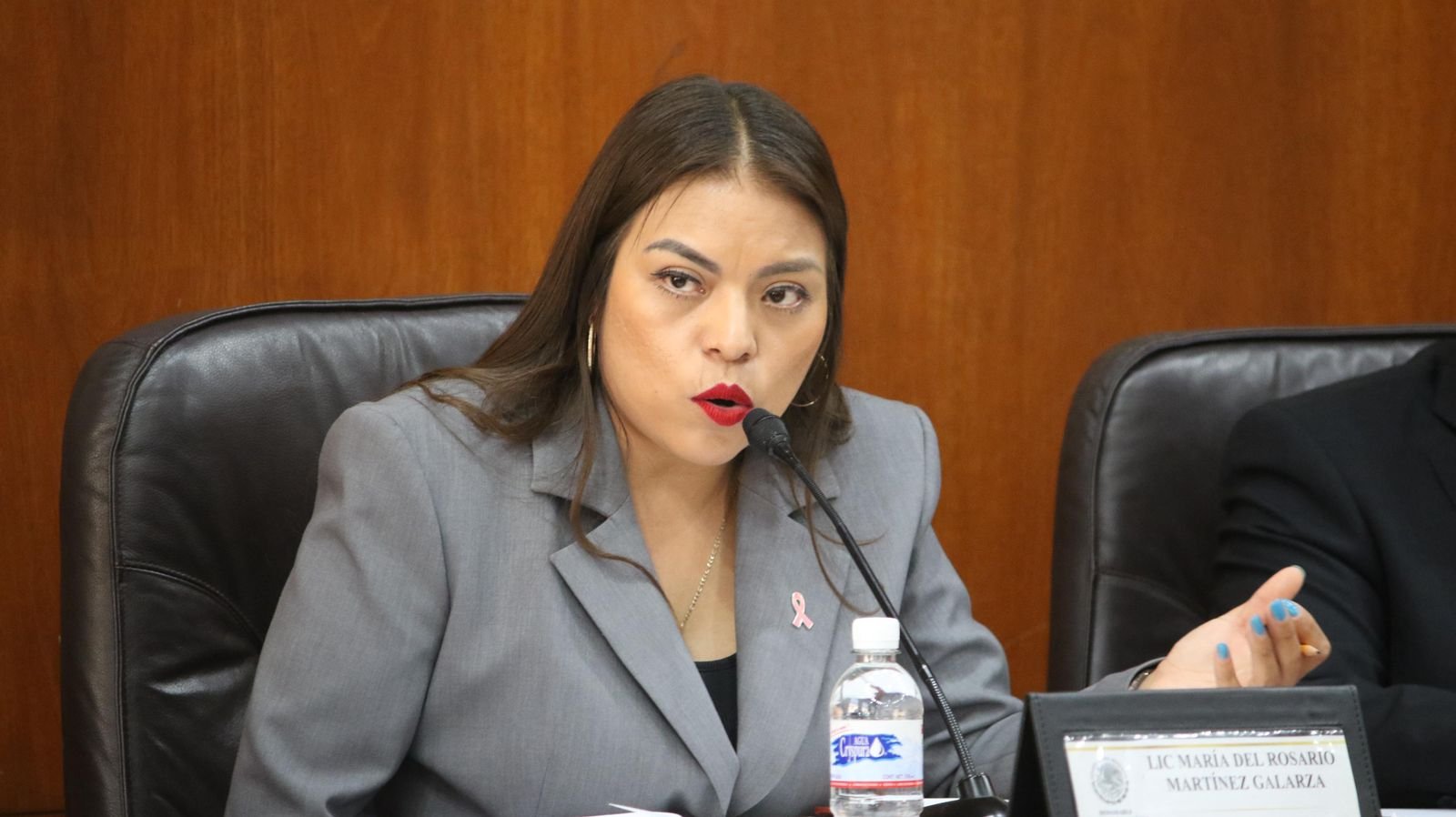 201025 15035, APOYO SIN LÍMITES DEL GOBIERNO ESTATAL A LAS FAMILIAS (2)