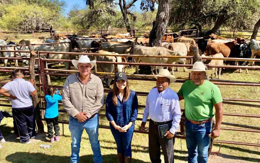 SAN LUIS INTENSIFICA CAMPAÑA DE GANADO LIBRE DE TUBERCULOSIS