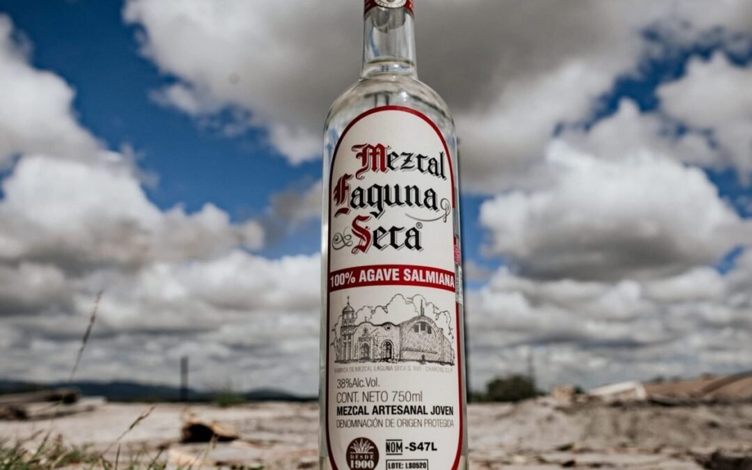 PROYECTARAN A SAN LUIS POTOSÍ EN LA FERIA ESTATAL DE LEÓN 2026