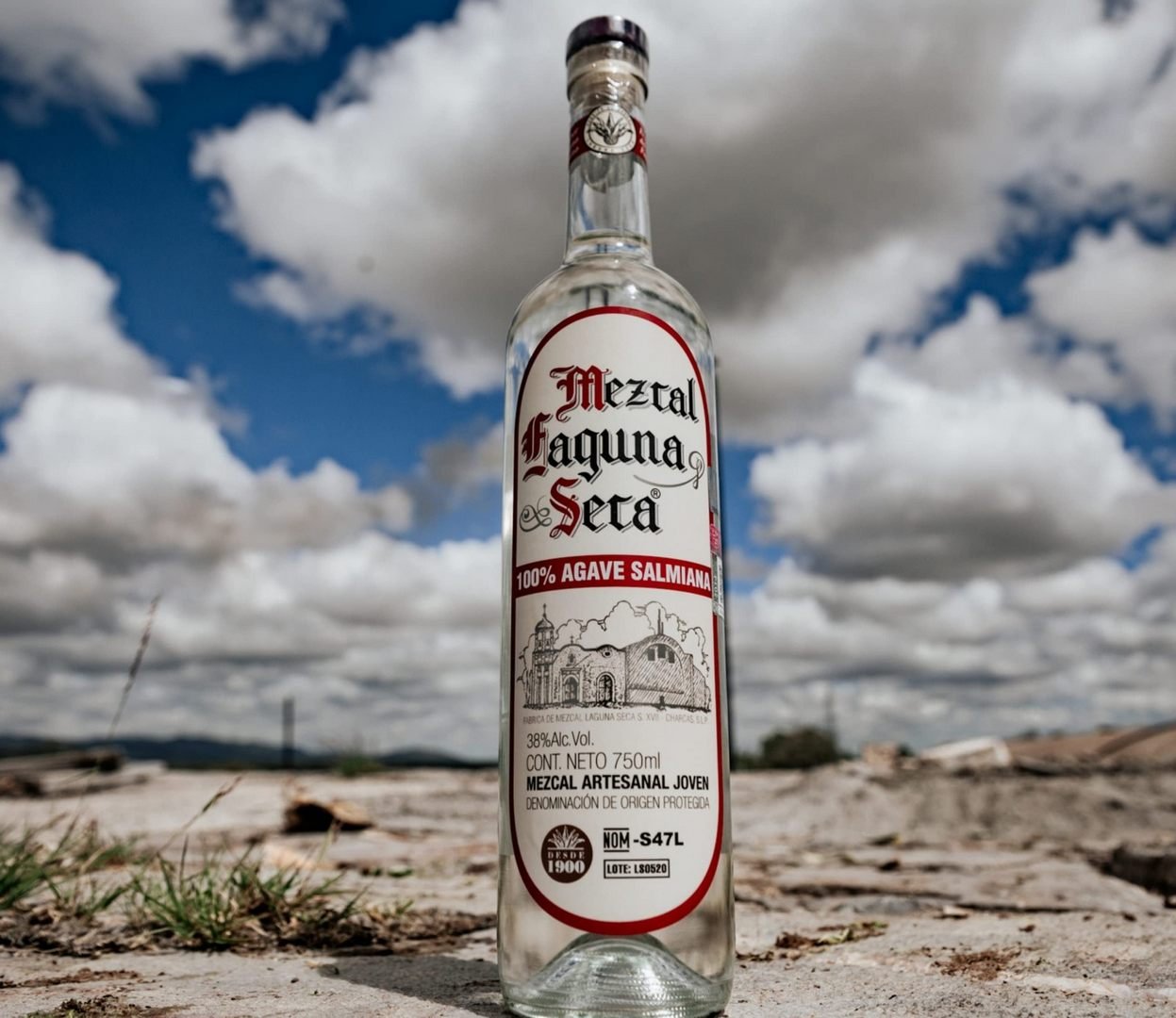 080126 15925, PROYECCIÓN SIN LÍMITES DE SAN LUIS POTOSÍ EN LA FERIA ESTATAL DE LEÓN 2026 (9)