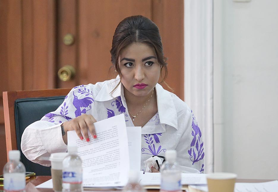 Dip. Roxana Hernández Ramírez