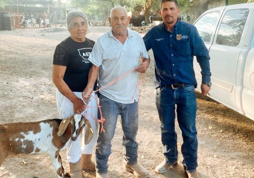 PRODUCTORES DE MATEHUALA DESTACAN EN CONCURSO DE LA CABRA MÁS LECHERA