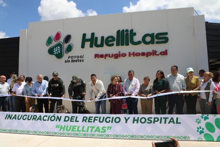 080626 17973, SAN LUIS, NOVENO LUGAR NACIONAL DE HOGARES CON MASCOTAS (1)