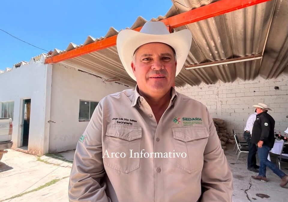 GUSANO BARRENADOR EN SLP: SOLO HAY ALREDEDOR DE 120 CASOS ACTIVOS Y LA MAYORÍA DE LOS ANIMALES SE RECUPERA